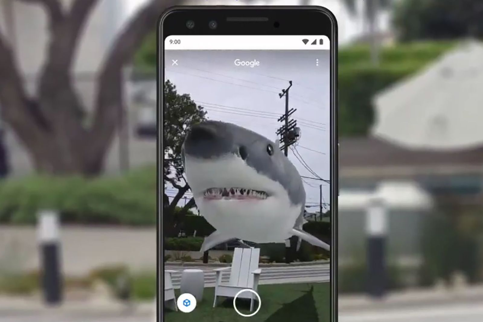 Google 3D objects: How to view dinosaurs in AR right in your kitchen photo 1