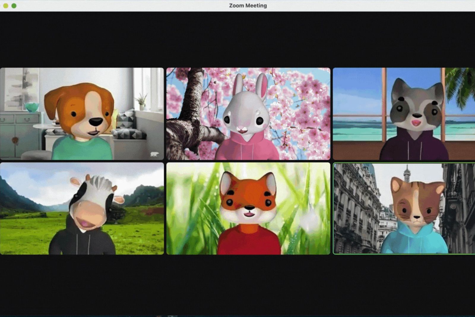 How to use avatars in Zoom: Be a dog or a fox in your next call photo 4
