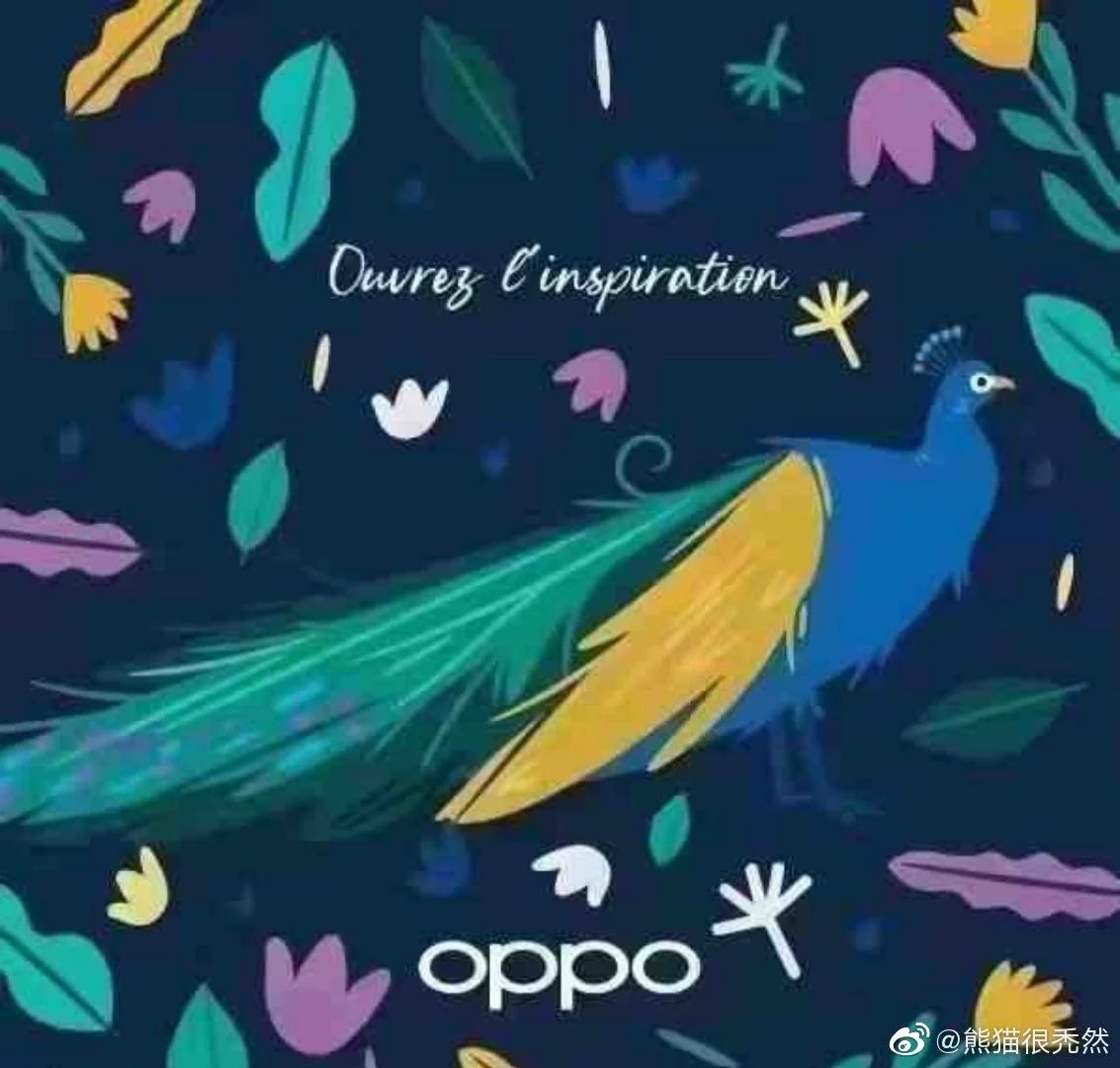 Oppo Peacock foldable phone could launch December photo 2
