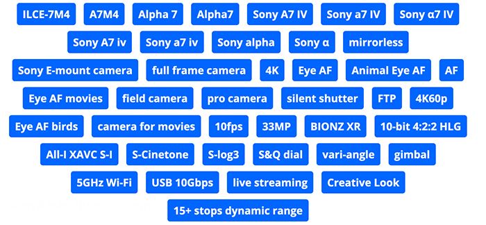 Sony Alpha A7 IV camera specs leaked by, er, Sony itself photo 3
