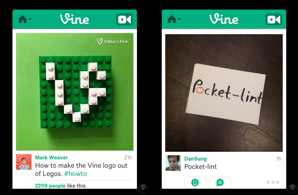 what is vine  image 1