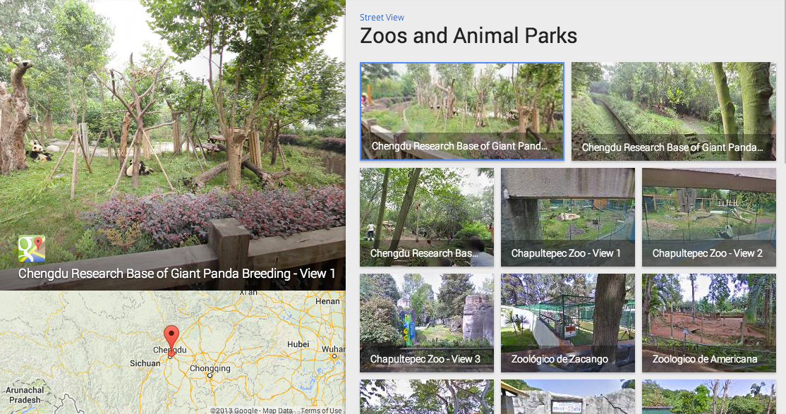 google street view visits the zoo captures panoramic views of china s giant pandas image 1