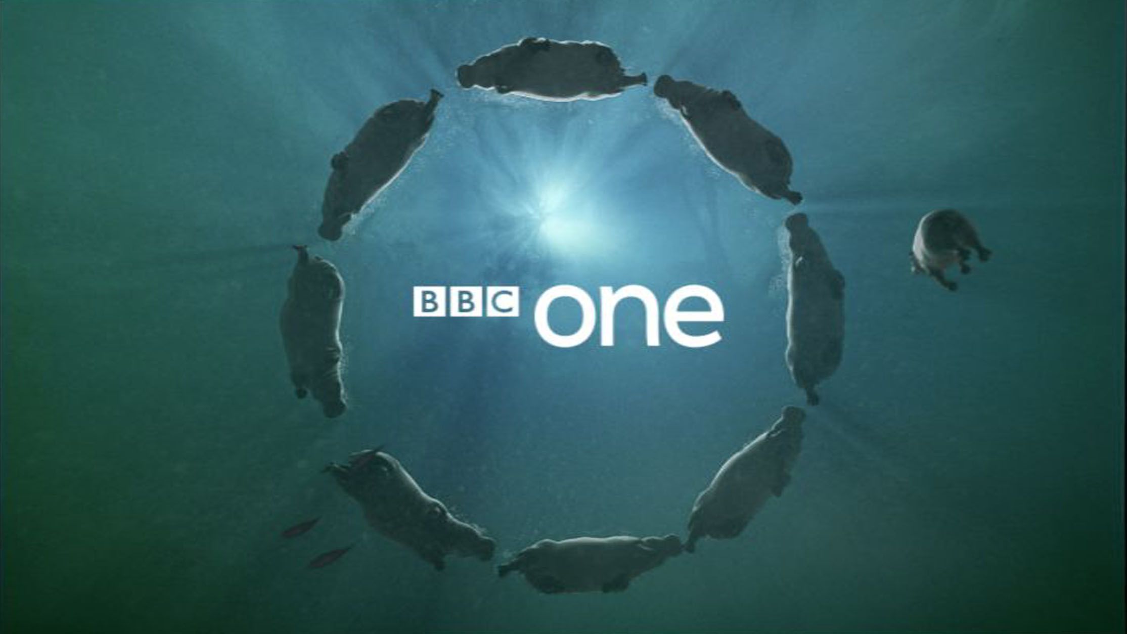 bbc one 1 coming to a tv near you well in the uk  image 1