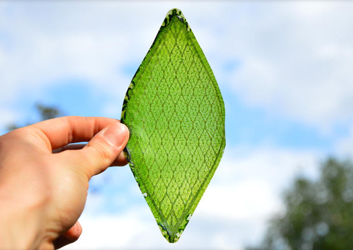 man made leaf could make deep space travel and off world colonisation possible image 1