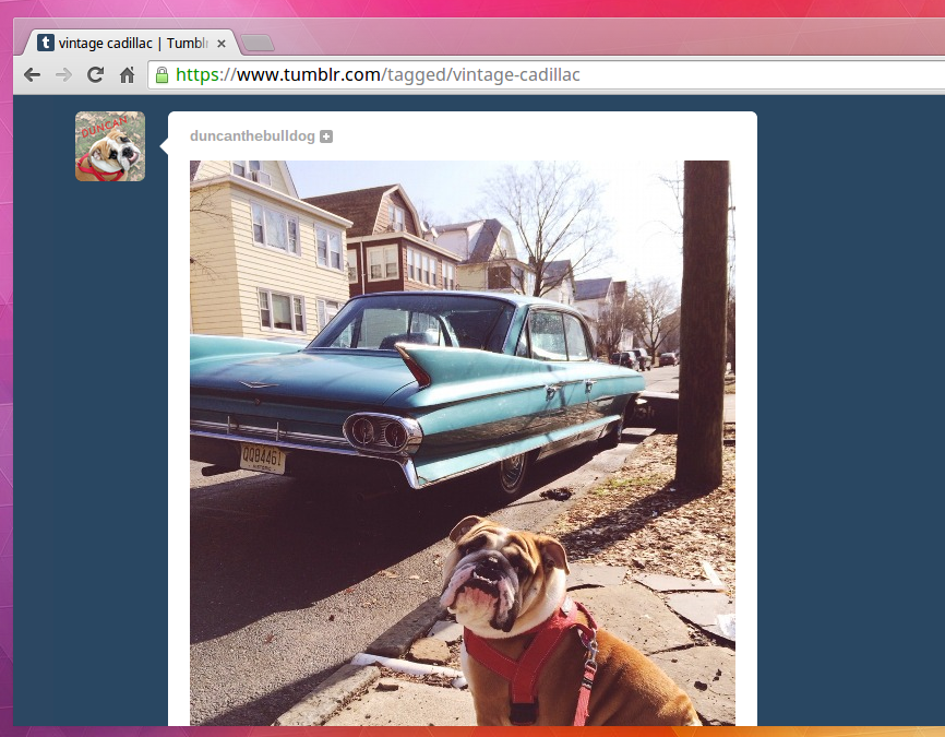 tumblr wants to scan your posted photos to see which brands you like most image 1