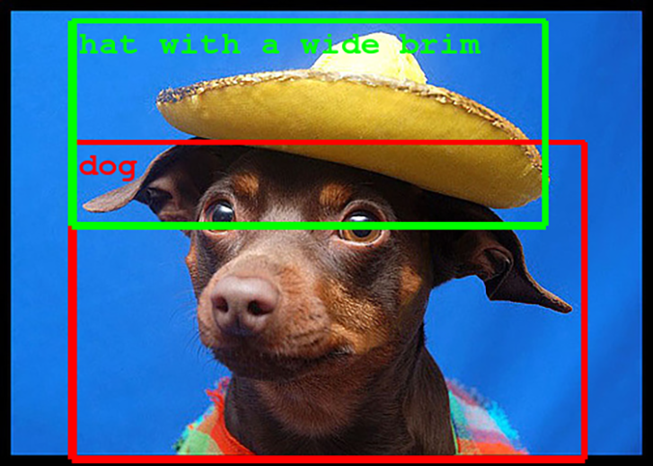 google image detection could soon even determine whether a dog is wearing a hat image 1