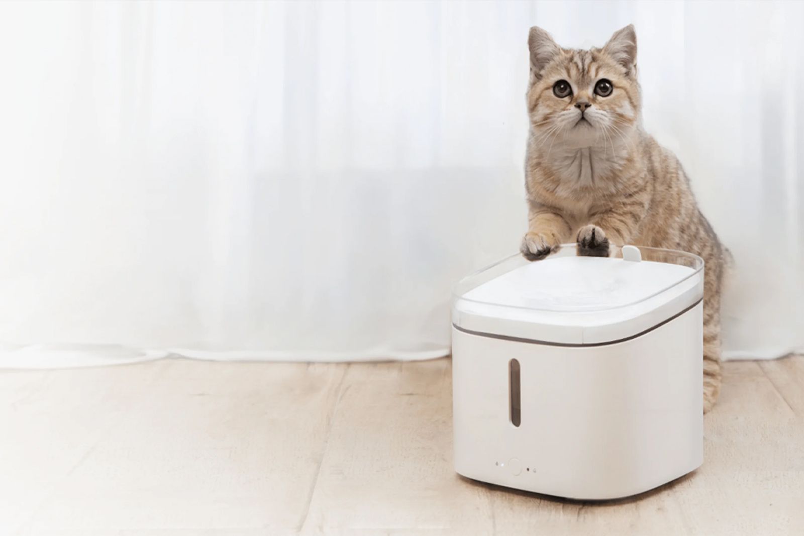 Incredible high-tech gadgets for your pets and yourself photo 19