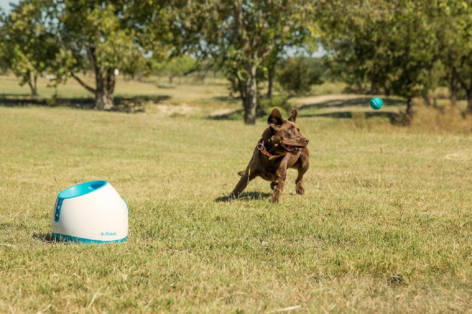 Incredible high-tech gadgets for your pets and yourself image 11