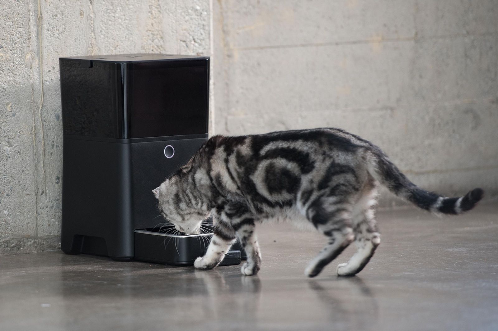 15 Amazing Tech Gadgets for Your Pet and Yourself Image 3