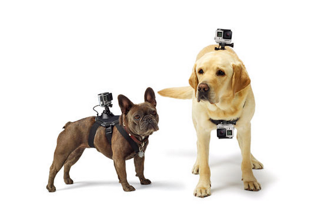 Incredible high-tech gadgets for your pets and yourself image 6