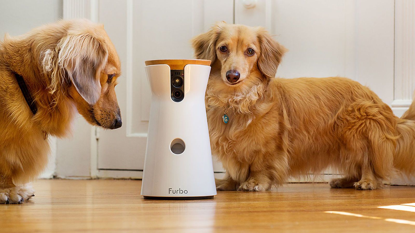 Incredible high-tech gadgets for your pets and yourself Image 8