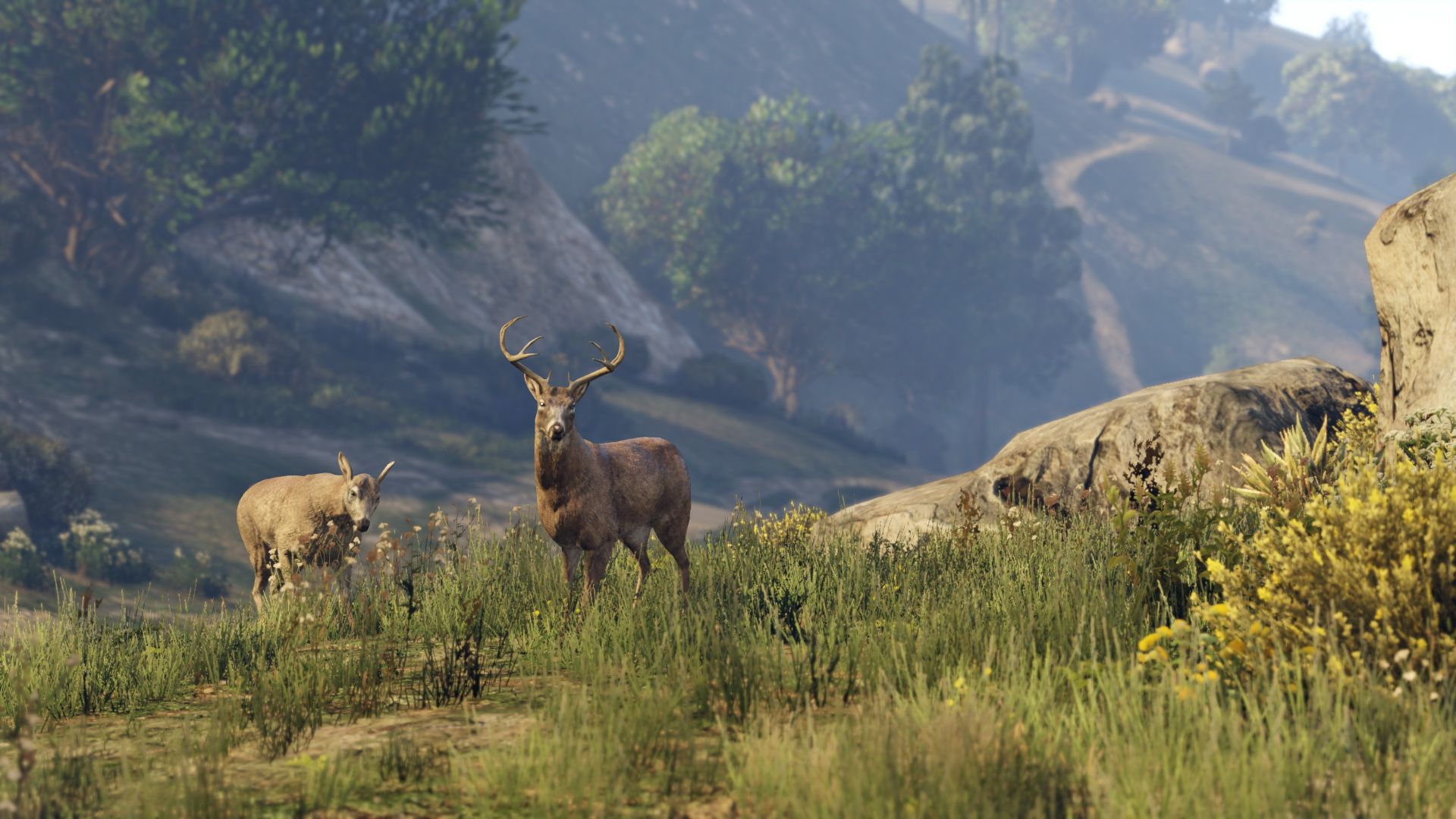 grand theft auto 5 review image 6