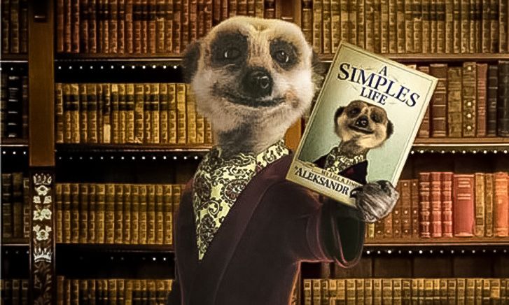 orange wednesdays are back sort of meerkat movies revives the 2 for 1 offer image 1