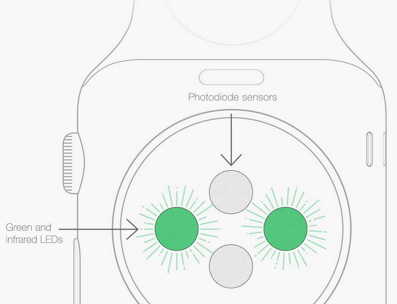 tattoogate apple confirms wrist tattoos can impact apple watch performance image 1
