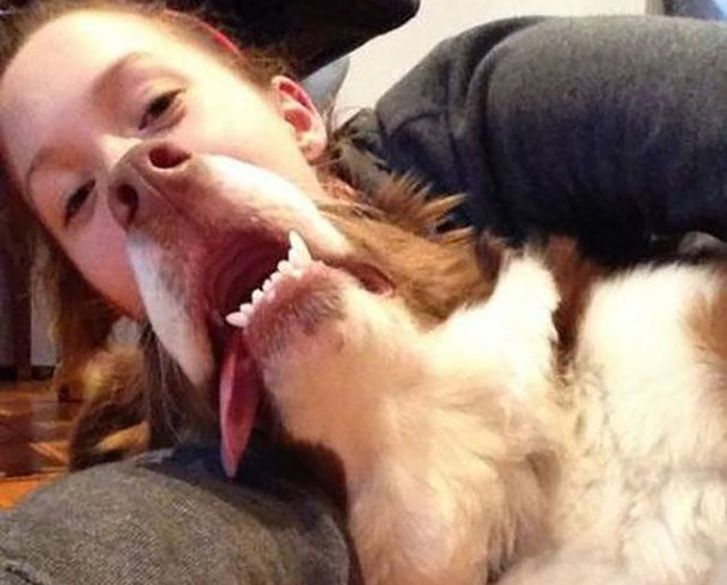 Well-timed and accidental phone pictures that will make you look twice image 21