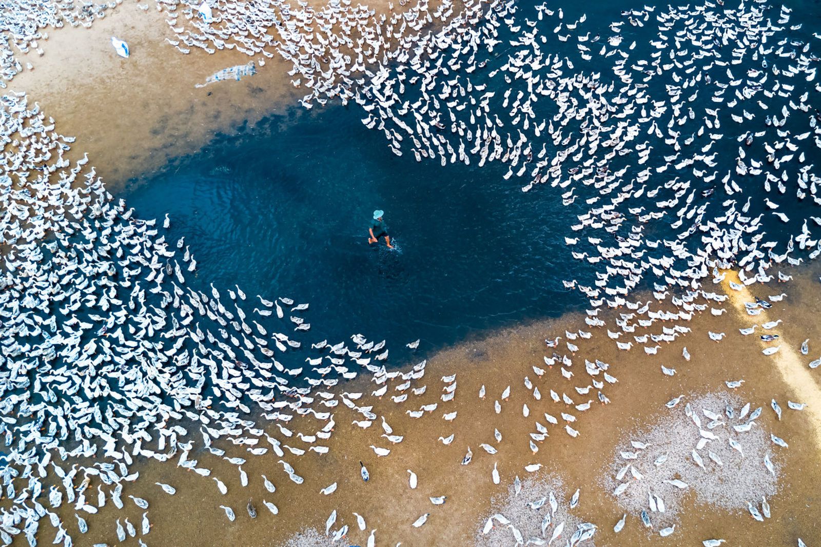 Best drone photos ever taken image 1