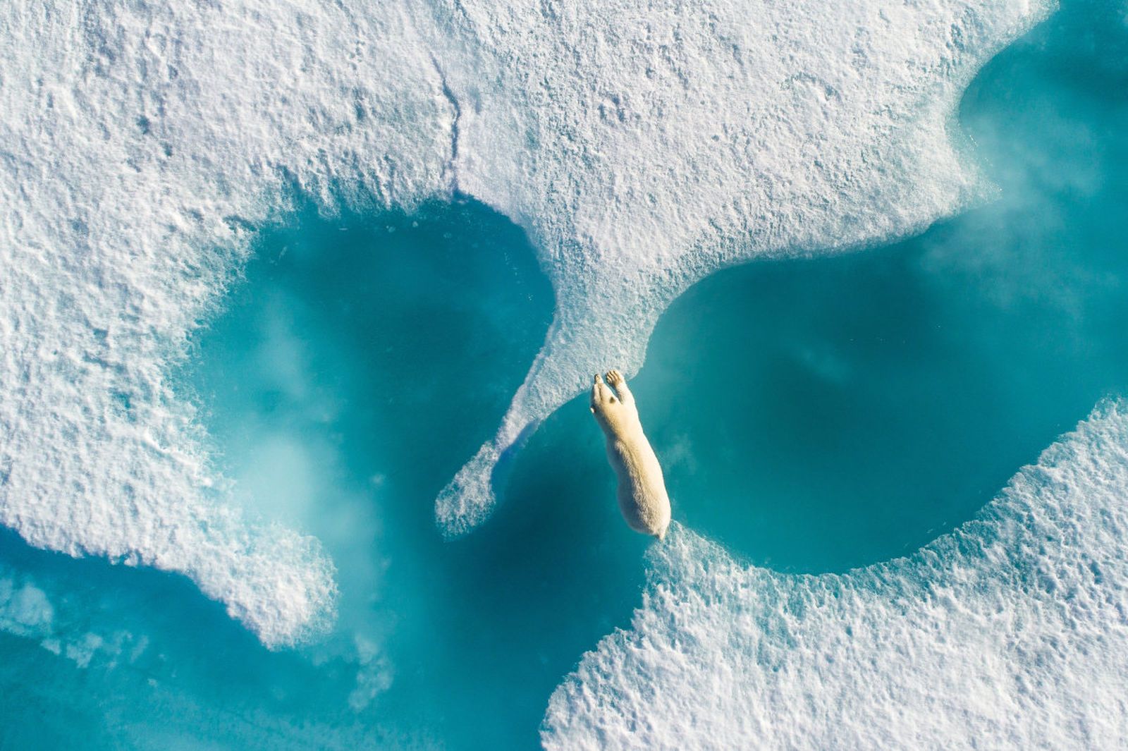 Best drone photos ever taken image 1