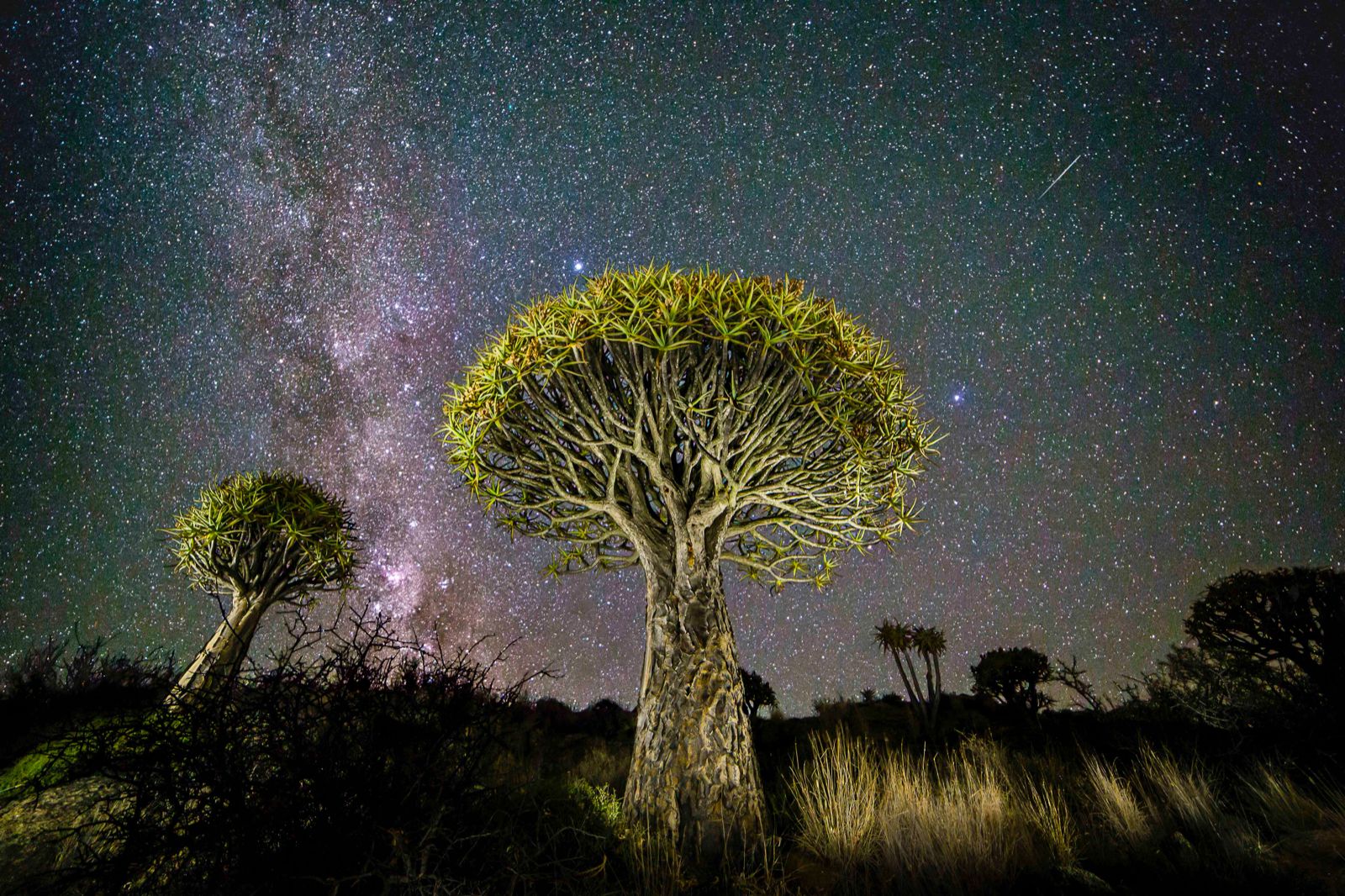 21 of the best astronomy photographs that are out of this world image 10