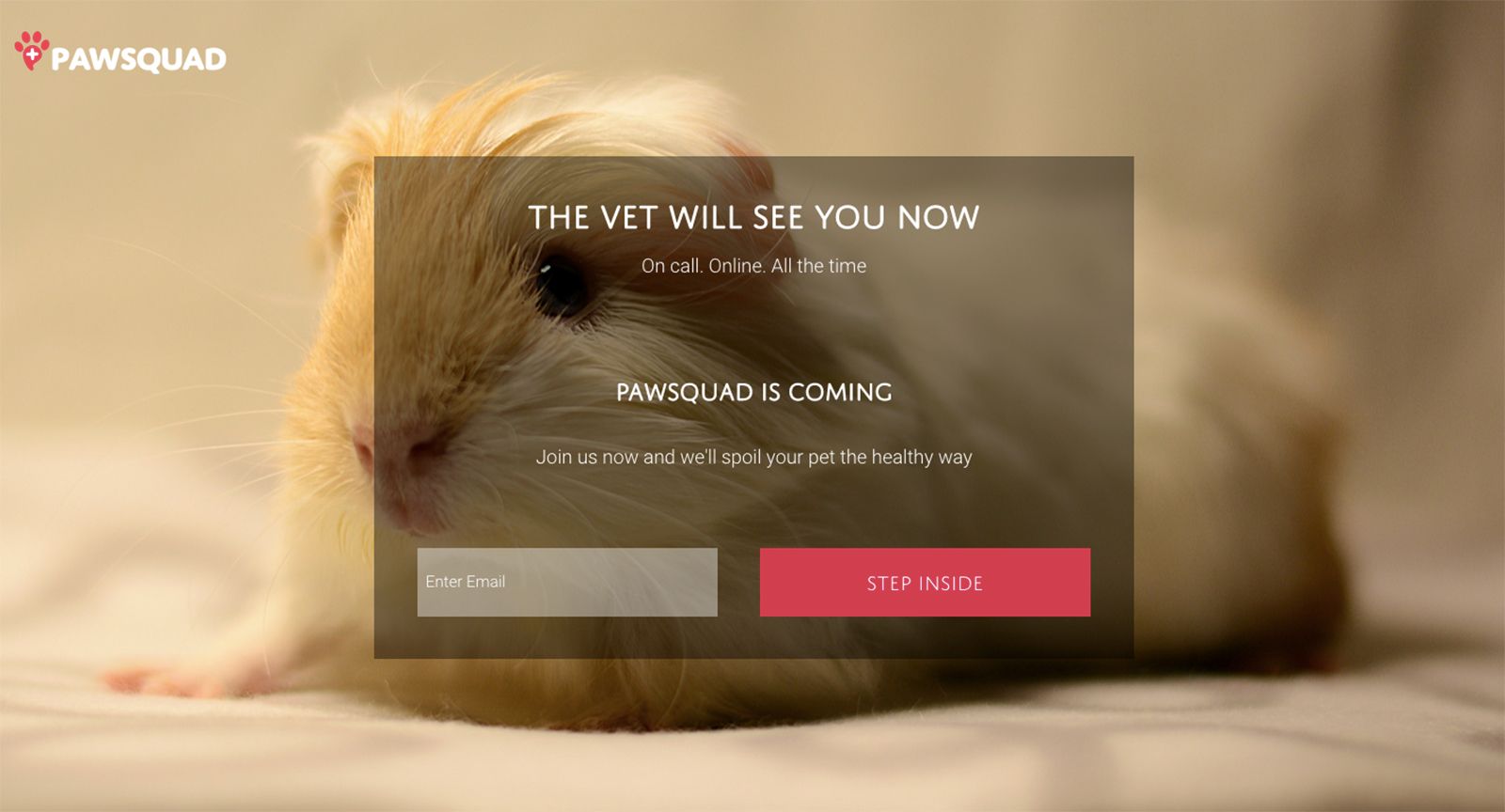 pawsquad lets you visit the vet from your couch at home goodbye pet box image 1