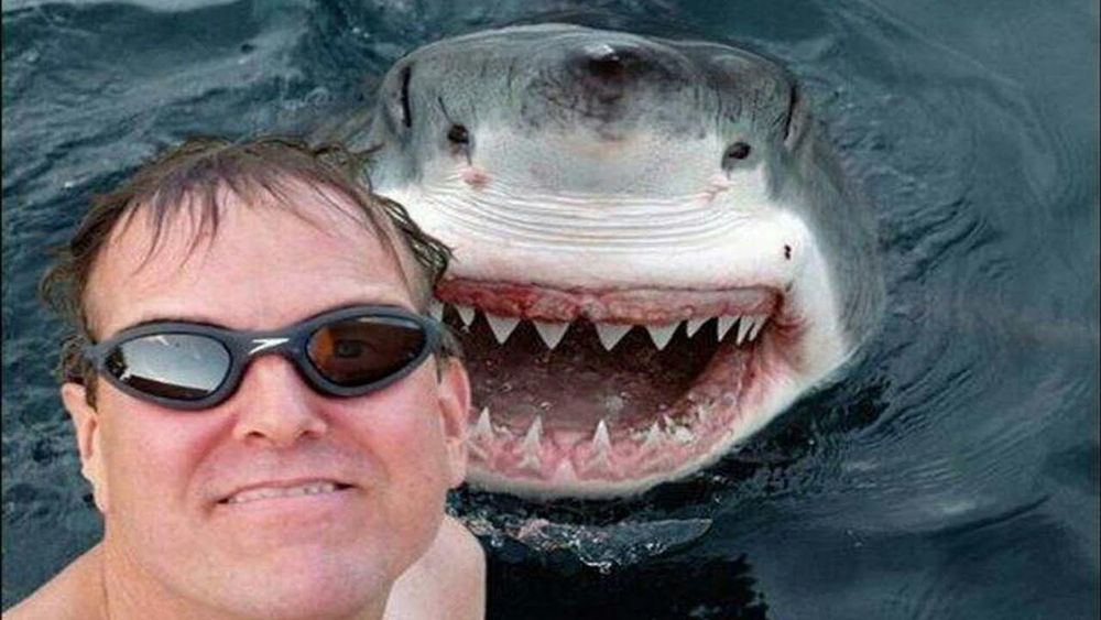 selfies kill more people than sharks no really image 1