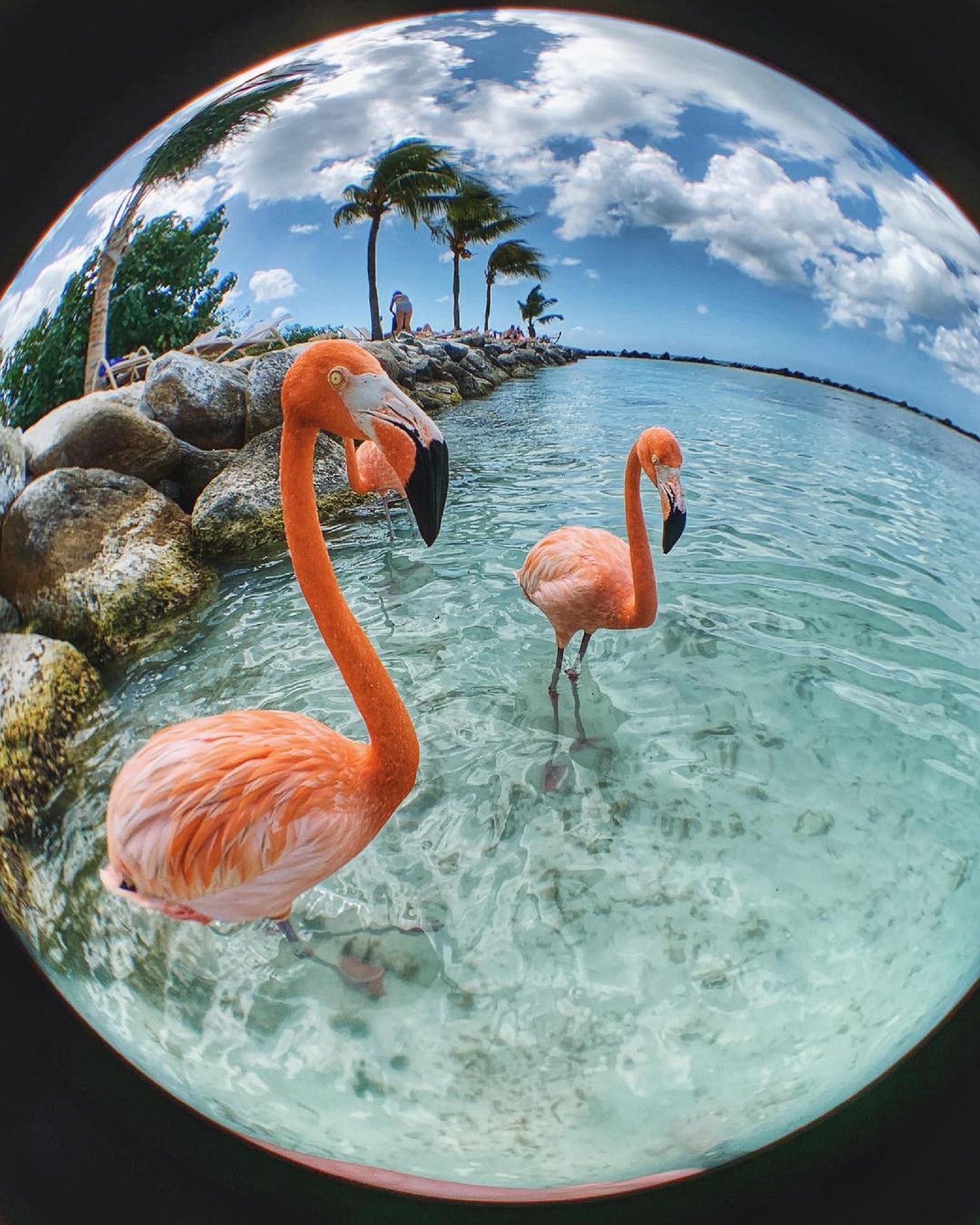 34 Best Olloclip Photos You’ll Be Amazed What A Phone Camera Can Do image 24