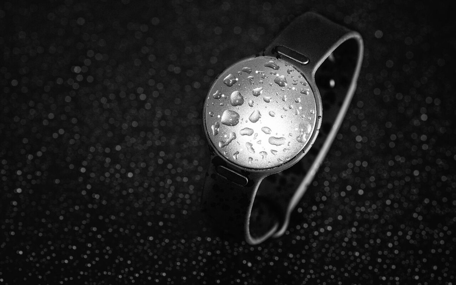 misfit shine 2 gets speedo swim tracker upgrade but you’ll have to pay image 1