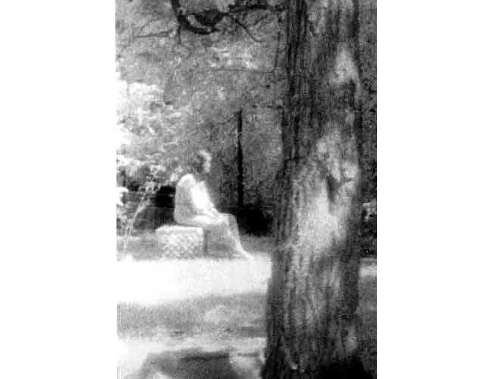 the most famous ghost photographs ever taken image 21