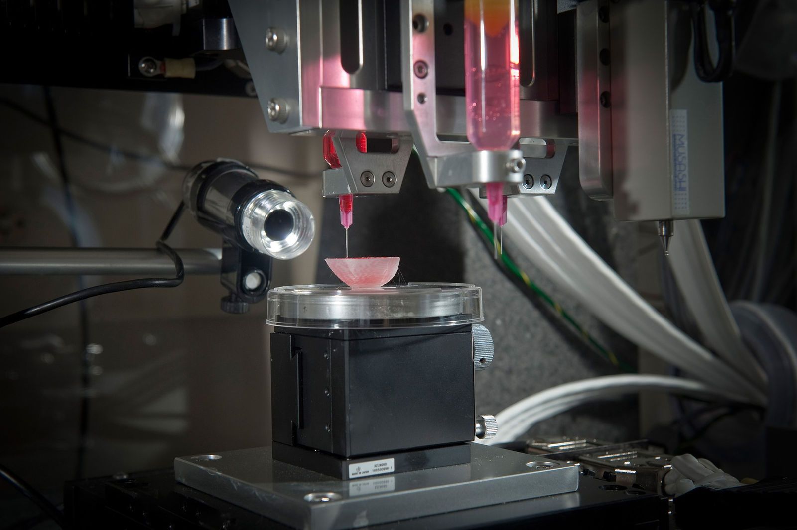 Medical marvels How 3D printing is improving our lives image 17