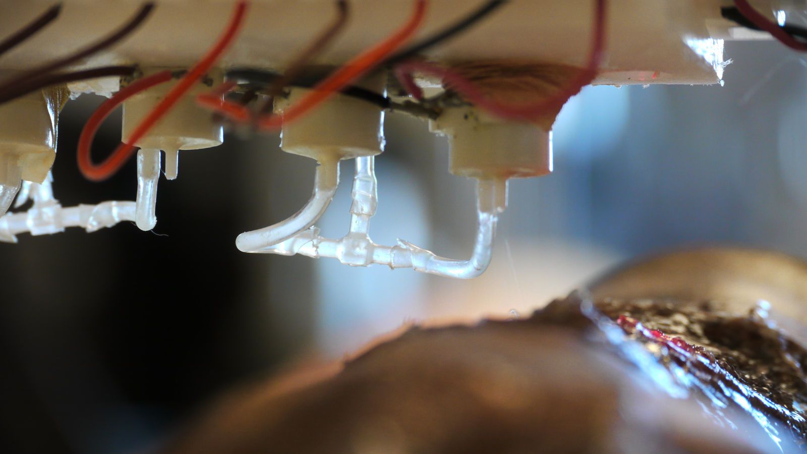 Medical marvels How 3D printing is improving our lives image 22