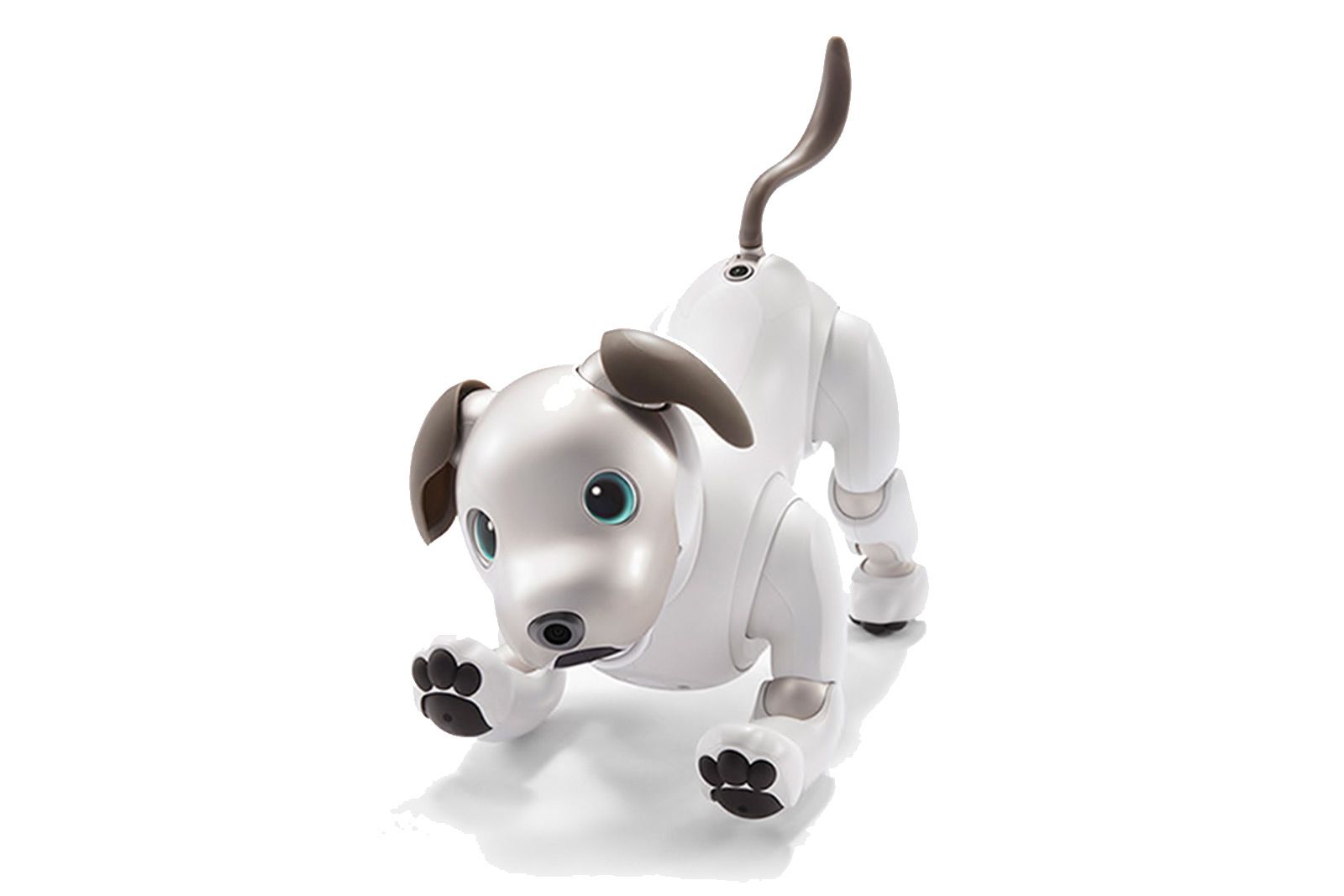 Sony Aibo is reborn as a modern-day puppy pal image 1