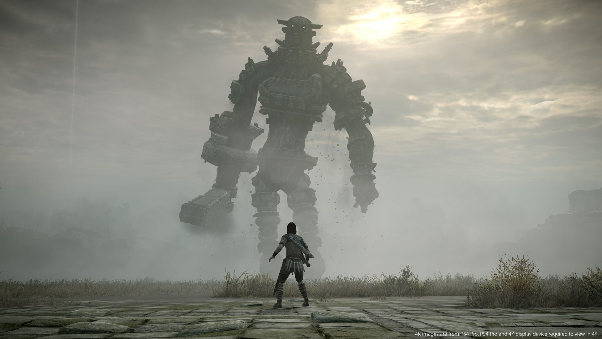 Shadow of the Colossus PS4 image 1