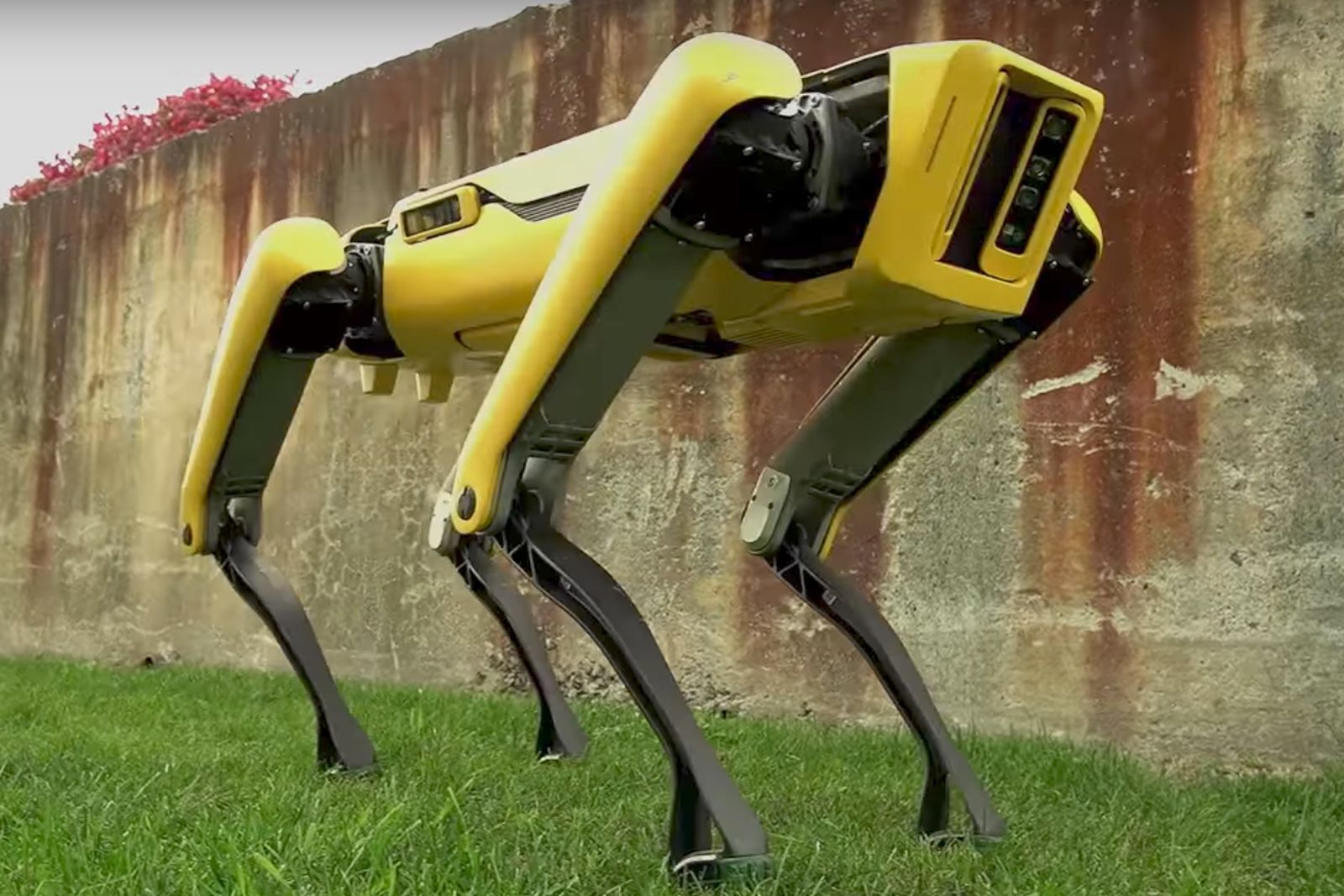 Check out Boston Dynamics' latest robot hellhound