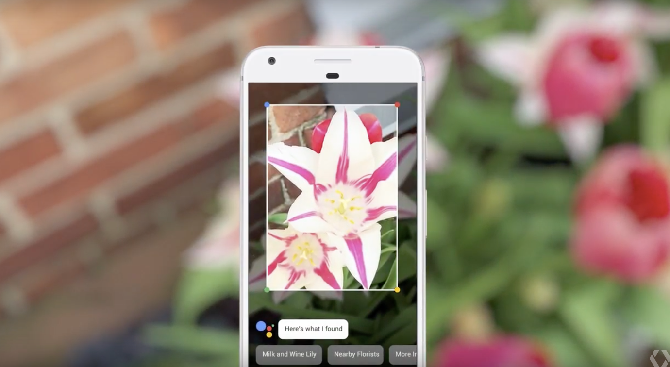 Google Lens comes to more Android devices and even the iPhone image 1