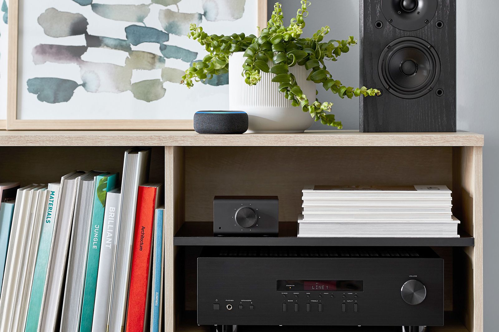 Amazons Echo Link and Echo Link Amp are now available in the UK image 1