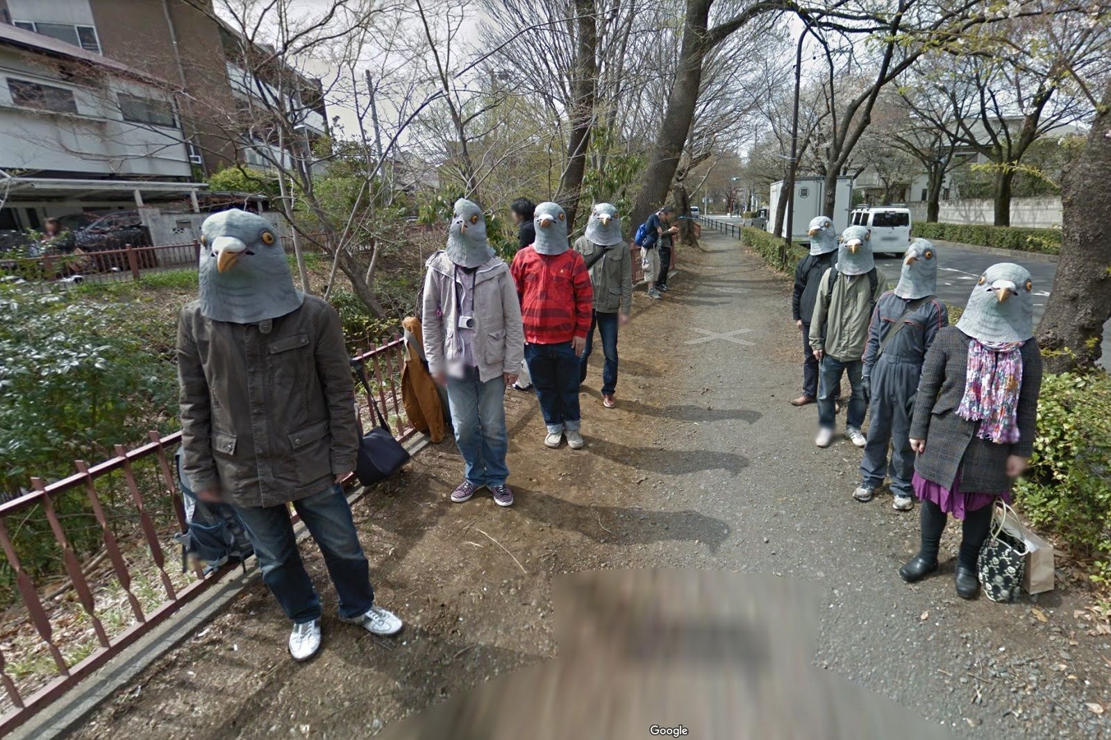 Brilliant views from around the world captured by Street View image 6