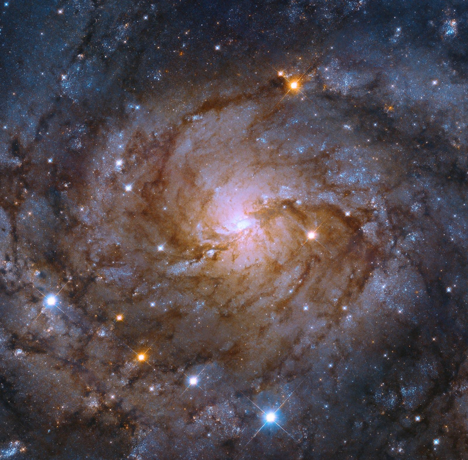 astounding images from the depths of the universe courtesy of the hubble space telescope photo 47