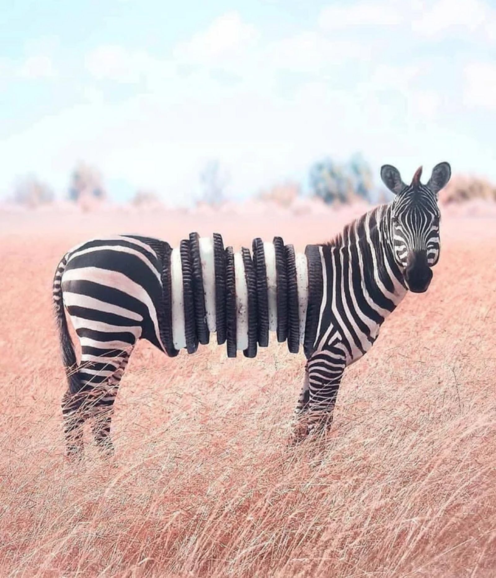 Bonkers New Animals Imagined With The Power Of Photoshop image 1