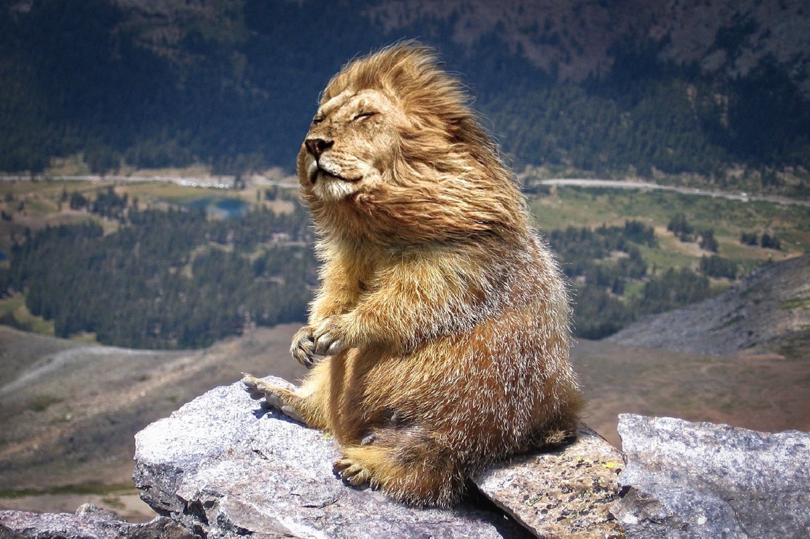 Bonkers new animals imagined with the power of Photoshop image 1