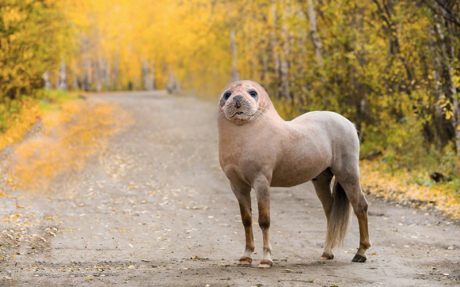 Bonkers new animals imagined with the power of Photoshop image 23