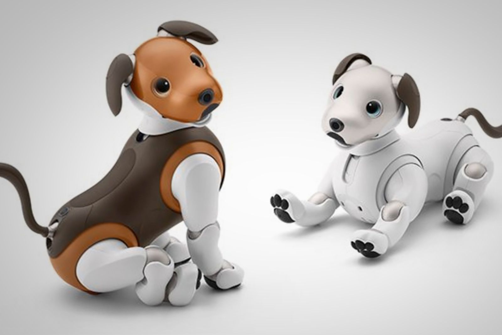 aibo ERS-1000