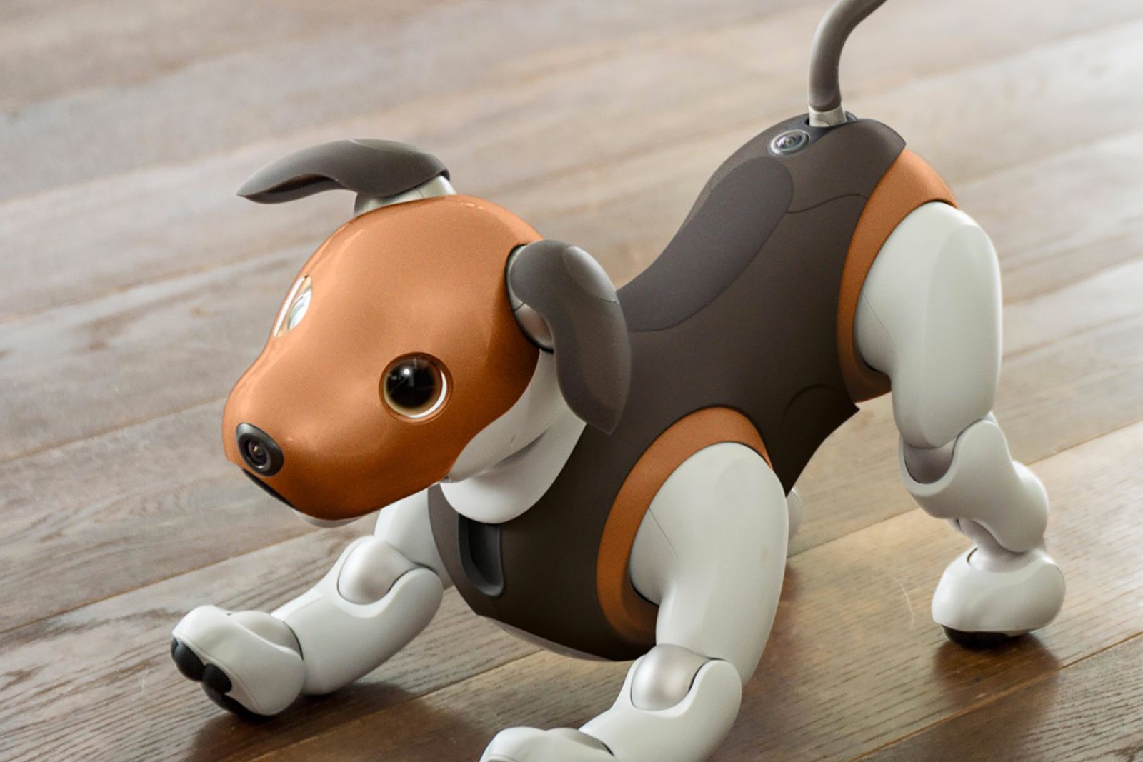 OMG we want Sonys new beagle-like Aibo bot dog image 1