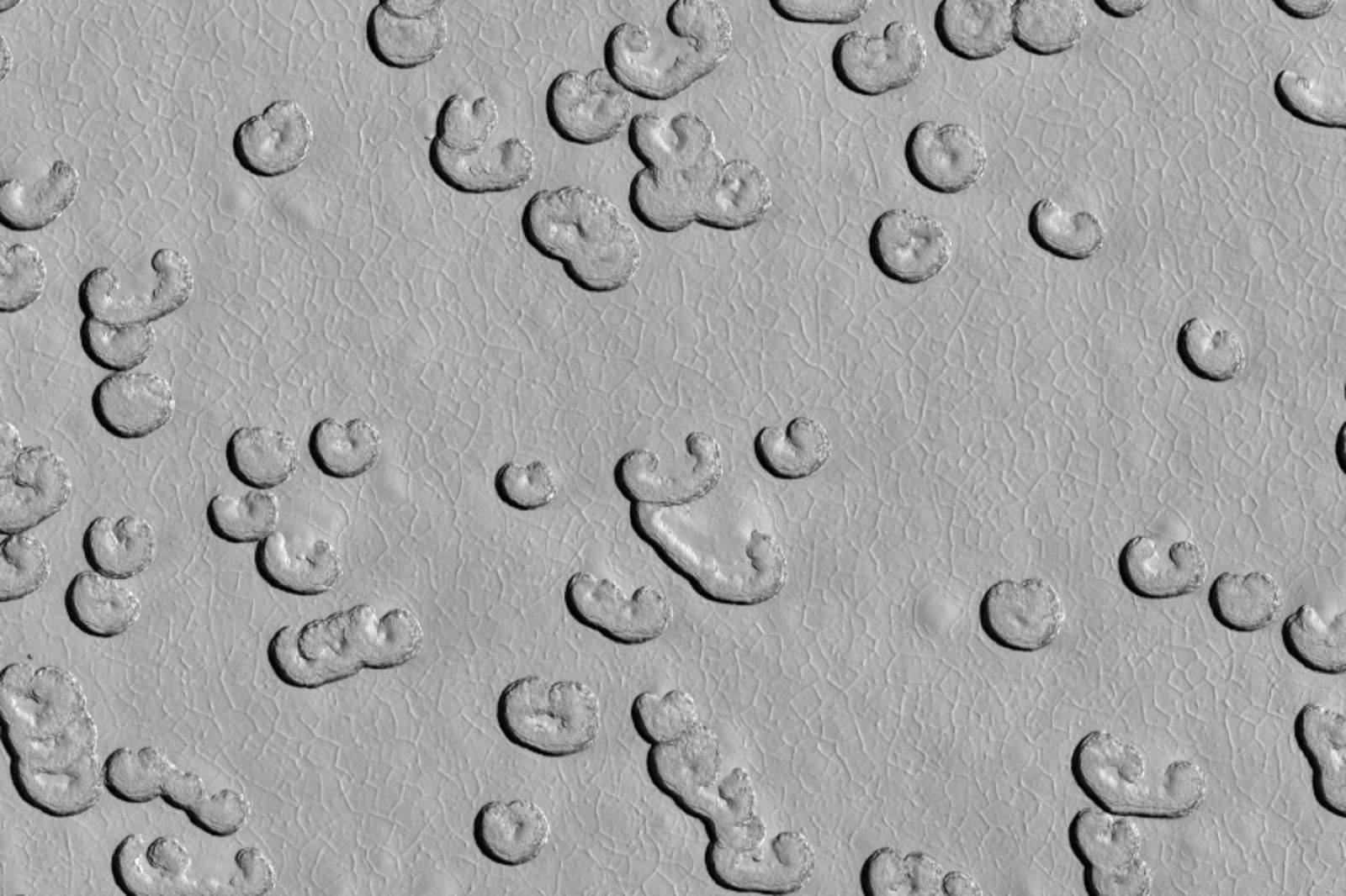Staggering Images Of Mars Like Youve Never Seen Before photo 45