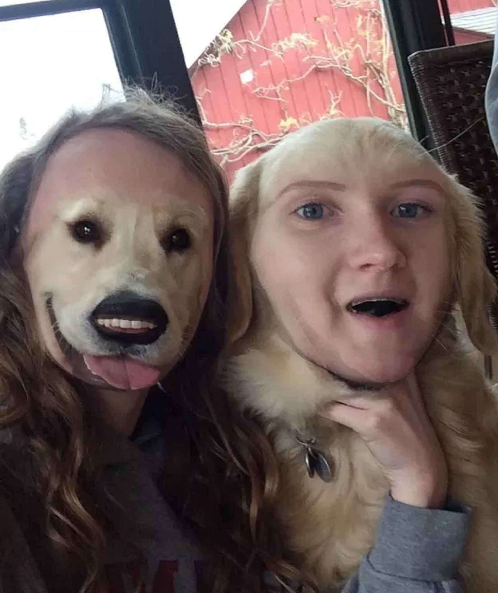 Terrifying And Hilarious Face Swaps image 13