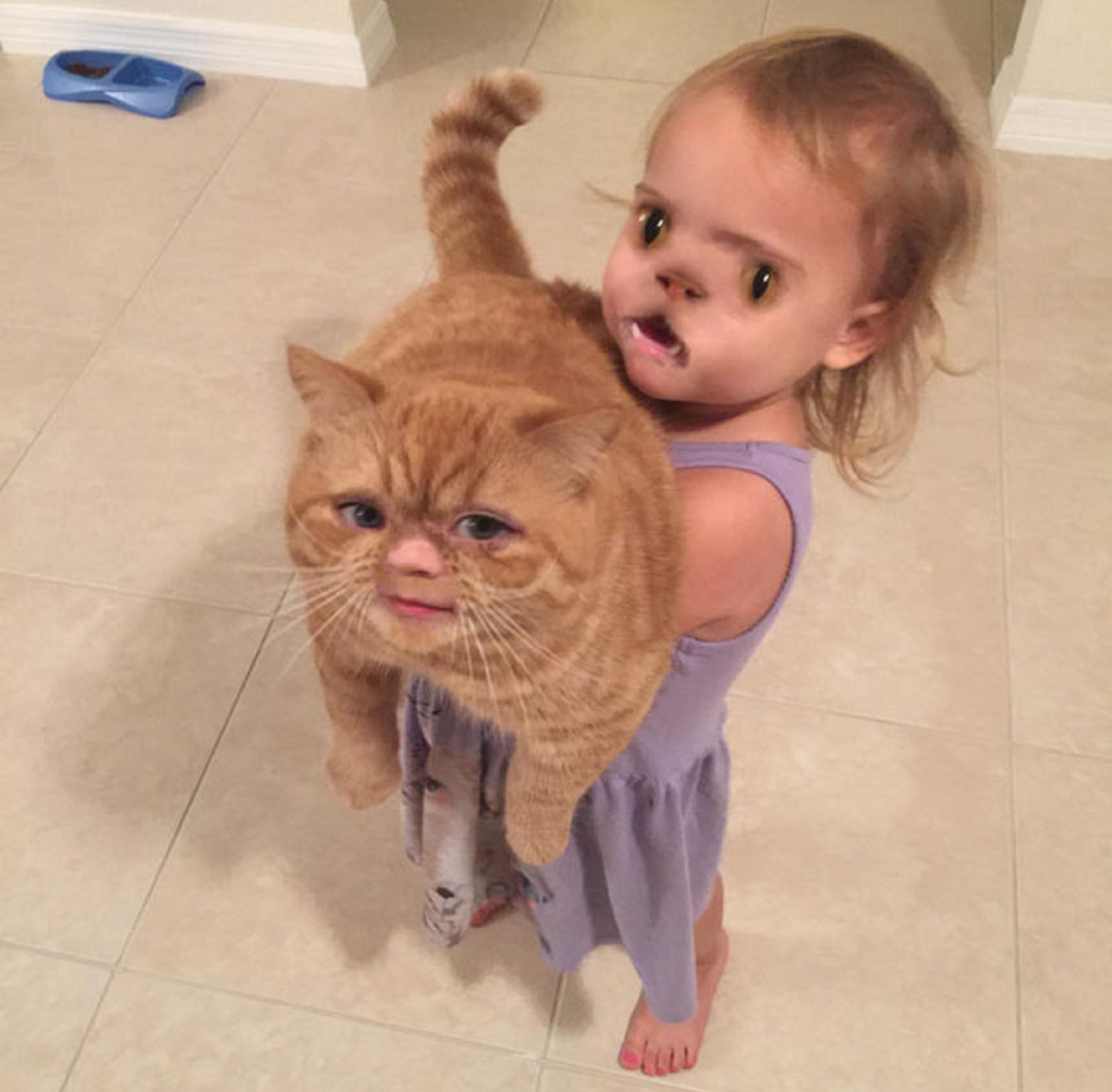 Terrifying And Hilarious Face Swaps image 15