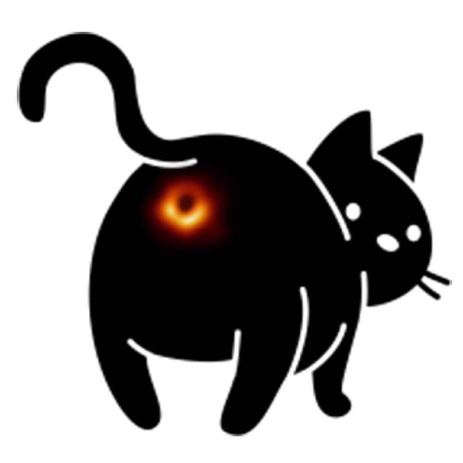 Best black hole memes Is it the Eye of Sauron A donut Your cats eye image 21