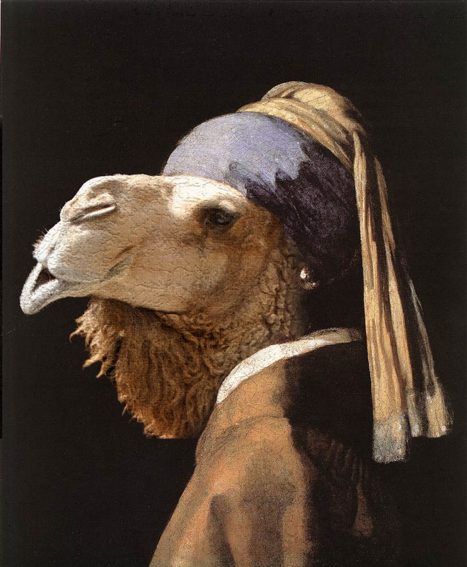 Amusing Images Of Animals Photoshopped Into Renaissance Paintings image 22