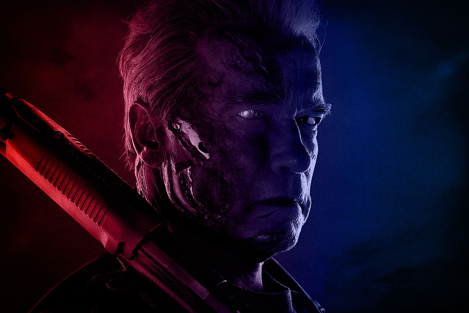 What Is The Best Order To Watch The Terminator Movies And Show image 1