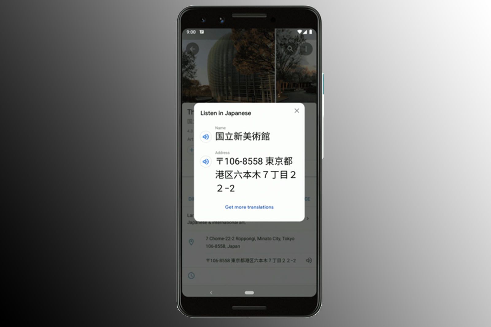 Google Maps Translate image 1