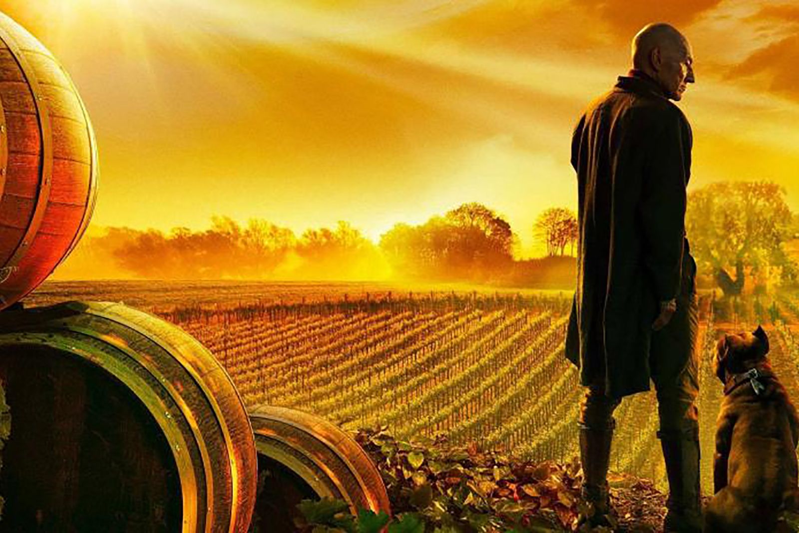 What to watch to prepare for Star Trek Picard image 1