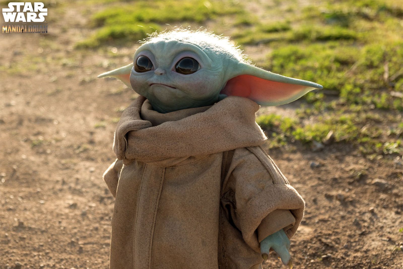 You can now order a life-size Baby Yoda for just 350 image 1